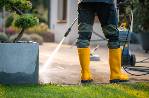 Best Pressure Washing Near Me  in Chilhowie, VA